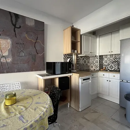 Bright 31m2 Flowered Terrace Near Croisette * Cannes